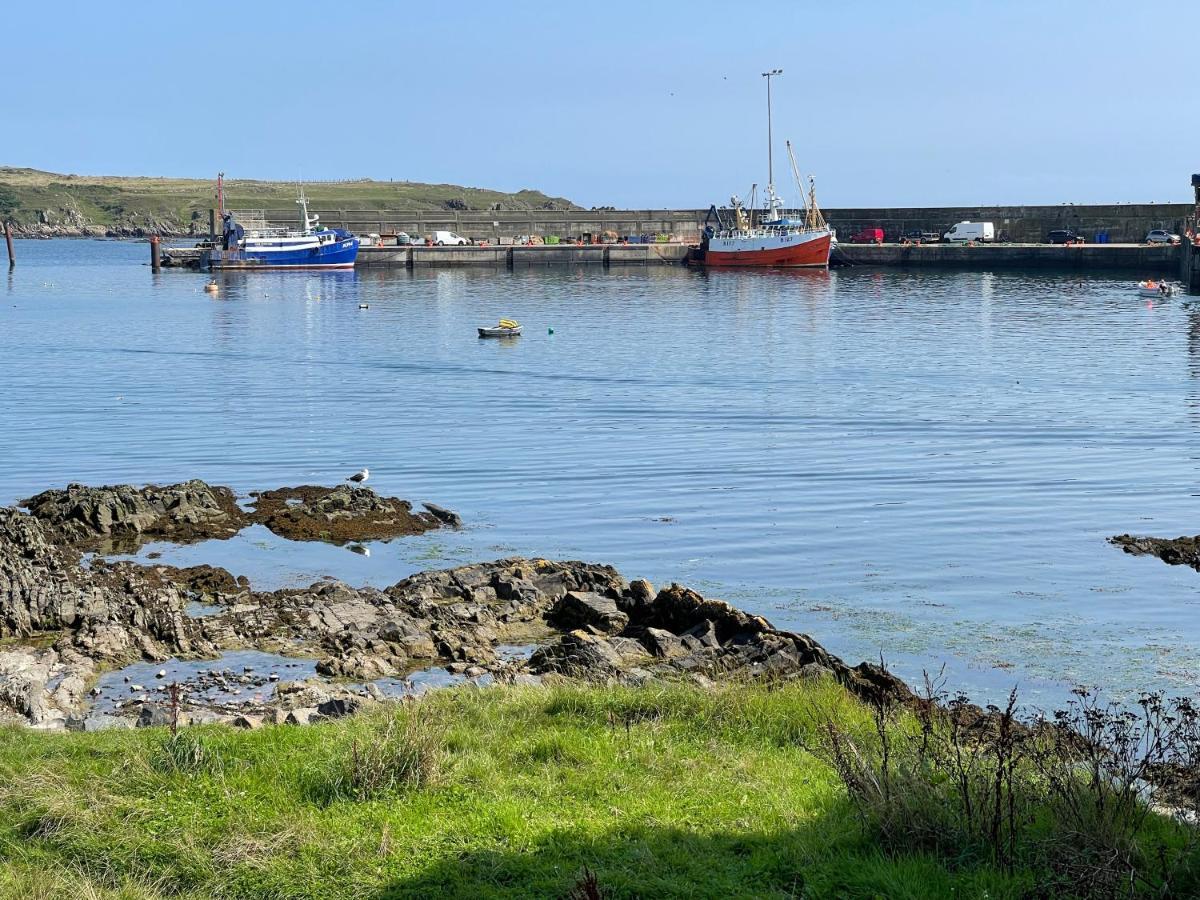 Lovely Apartment Overlooking The Harbour And Bay Ardglass Exterior photo